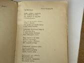 Motina(lietuvių poezija ir beletristika apie motin - nuotraukos Nr. 3