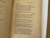 Motina(lietuvių poezija ir beletristika apie motin - nuotraukos Nr. 4