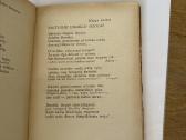 Motina(lietuvių poezija ir beletristika apie motin - nuotraukos Nr. 5