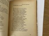 Motina(lietuvių poezija ir beletristika apie motin - nuotraukos Nr. 6
