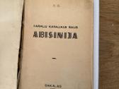 Karalių karaliaus šalis Abisinija 1935 m - nuotraukos Nr. 2