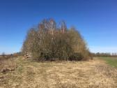 Investiciniai sklypai,paširvintis, Širvintų raj. - nuotraukos Nr. 19