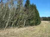 Investiciniai sklypai,paširvintis, Širvintų raj. - nuotraukos Nr. 18