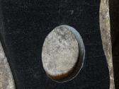 Antkapis