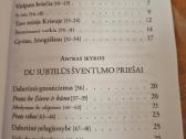 Apie pašaukimą į šventumą šiuolaikiniame pasaulyje - nuotraukos Nr. 3