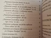 Apie pašaukimą į šventumą šiuolaikiniame pasaulyje - nuotraukos Nr. 4