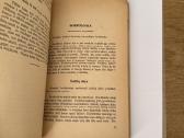 Lietuvių kalbos gramatikos ir rašybos vadovėlis - nuotraukos Nr. 6