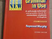 Essential grammar in use. Second edition