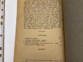 Katalikybės dogmos ir ,bedogmė krikščionybė"1925m - nuotraukos Nr. 6