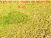 Akcija perkant 100l ir daugiau -10% nuolaida