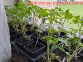 Akcija perkant 100l ir daugiau -10% nuolaida - nuotraukos Nr. 6