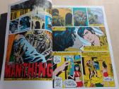 Marvel Comics - Komiksai - Man Thing - nuotraukos Nr. 18