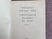 Knyga Voratinkliai draikes be vejo - nuotraukos Nr. 2