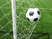 Standartinis futbolo vartų tinklas 750 x 250 cm - nuotraukos Nr. 3