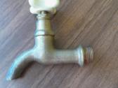 Lauko kranelis 3