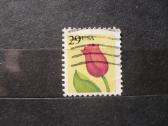 1991 tulpė