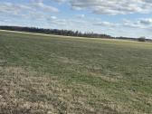 10,54 ha sklypas be infrastruktūros mokesčio - nuotraukos Nr. 5