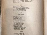Lietuvių tauta Iv Knyga (1,2,3 sąs.)+s.daukanto. - nuotraukos Nr. 16