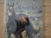 10 Dvd - nuotraukos Nr. 5