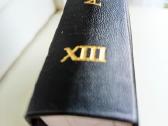 A.maceina Raštai XIII