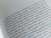 A.maceina Raštai XIII - nuotraukos Nr. 8