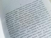 A.maceina Raštai XIII - nuotraukos Nr. 9