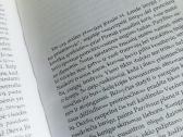 A.maceina Raštai XIII - nuotraukos Nr. 10