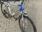 Dviratis