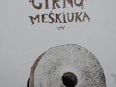 Pasaka apie girnų meškiuką - nuotraukos Nr. 2