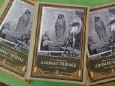 Knyga „Lietuvos dailės patriarchas Adomas Varnas“