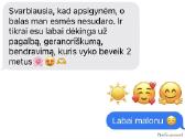Magistro ir bakalauro darbų rašymo pagalba - nuotraukos Nr. 4