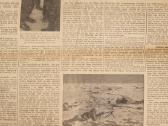 Das Reich laikraštis - nuotraukos Nr. 5