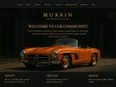 Profesionalus įvairių web svetainių kūrimas - nuotraukos Nr. 6