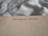 Atvirutė - nuotraukos Nr. 9