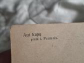 Atvirutė - nuotraukos Nr. 11