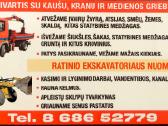 Ratinio ekskavatoriaus nuoma Kedainiai info tel. - nuotraukos Nr. 2