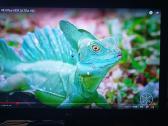 40 TV fullhd - nuotraukos Nr. 5