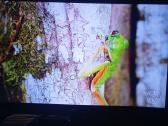 40 TV fullhd - nuotraukos Nr. 6