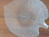 Vaza / vase / " Tilia cordata "