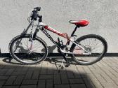 Paauglio dviratis Bottecchia