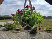 Macrame gėlių laikikliai