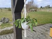Macrame gėlių laikikliai - nuotraukos Nr. 2