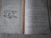 Gintasis zodis - nuotraukos Nr. 2