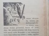 Knyga Skruzdėlytės Greitutės nuotykiai - nuotraukos Nr. 4