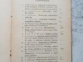 Knyga Skruzdėlytės Greitutės nuotykiai - nuotraukos Nr. 5