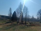 Buvusios sodybos pamatų likučiai. - nuotraukos Nr. 8