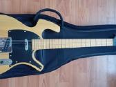 Gitara Parker P-36 .
