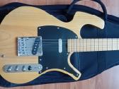 Gitara Parker P-36 . - nuotraukos Nr. 2