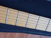 Gitara Parker P-36 . - nuotraukos Nr. 4