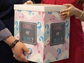 Dekoracijos baby shower gender party
